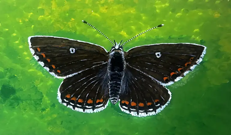 David Hardy Artists — Celebrating the Eternal Beauty of Lost Species